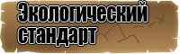 Интересные футболки